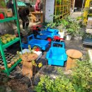 (주)수성팜 이미지