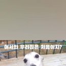 N109 네이버블로그
