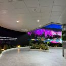 고인돌 박물관 이미지