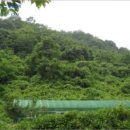 내서읍647 이미지