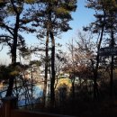 원곡고교길 이미지