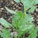 방개농장 이미지