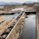 수입2교 이미지