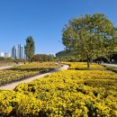 태화강국가정원 이미지