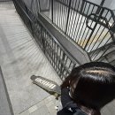 지또네일 이미지
