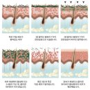 산동사우나 | 내돈내산 아닌 세미나혜택 등필링후기✨