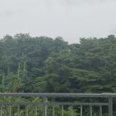 서울시수안보연수원카페테리아 이미지