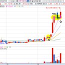 준우 태양광 발전소 이미지