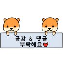 수라채그릴궁채 이미지