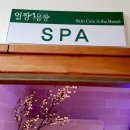 얼짱몸짱(아산점) | [아산온천 피부관리실/천안 피부관리실] 아산온천 얼굴마사지 ★