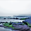 7080 골드팝송 이미지