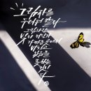 홀로 이미지