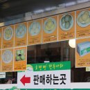 호찐빵 만두나라