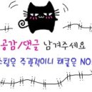 월드켄넬 이미지