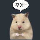 담주에 일본 친구부부 놀러오는데 이미지