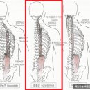 바른자세운동센터 세움 이미지