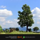 한강시민공원(파고라 쉼터) 이미지