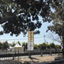 (자)제일택시 | 발리 길리섬 가는법 와하나 오하나 배 택시 왕복 후기