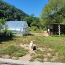 천주섭리수녀회 이미지