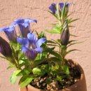 용담하우스 이미지