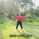 디케이리 이미지