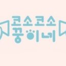 코소코소 꿍이네 이미지
