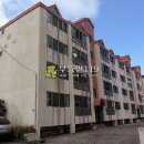 동홍중앙로 이미지