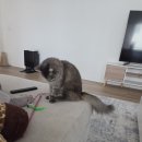 서정호스텔 | (13) 뉴욕-2일차 1: 모마 MOMA 뉴욕현대미술관