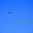 완도 청산도의 봄 이미지