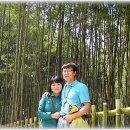 강천산(광주) 이미지