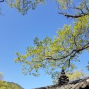 다녀온 순천여행 솔직후기: 순천만국가정원, 순천...카페 더소나무, 장대공원, 청춘창고, 조훈모과자점
