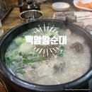 전통왕순대 | 진하고 고소한 여의도 순대국 백암왕순대 맛점 후기