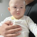 로그159