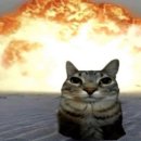 다이도코로 이미지