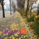 늘도담유치원 | [강의 후기] 나를 안아 주는 시간: 아들러식 자기격려...건네는 치유의 시간ㅣ안양 늘도담유치원