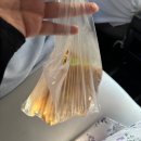 조우바 | ˚₊· 𓈒𓏸 𓂂𓈒 8월의 상하이 일기 : 남자보러 중국간다구여? - 네 왜요?