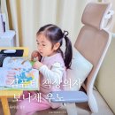 컴퓨터 책상의자 보나체 우노 조립방법 사용후기