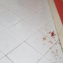 엘가든