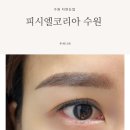수원 자연눈썹 반영구눈썹 피시엘코리아 담채눈썹 예뻐지고 온 후기