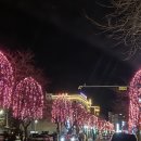 로얄대중사우나