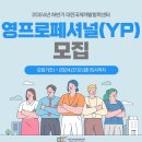 [코드씨] 2024년 하반기 영프로페셔널(YP) 채용 모집 공고 이미지