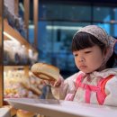 파리바게트 서판교점 | [육아] 랩 오브 파리바게뜨 판교테크노점 아이와 함께 솔직 후기