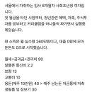 실수령 260의 사회초년생입니다 돈을 쓸때마다 숨이 턱턱 막힙니다 이미지