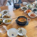 제주 살레 이미지