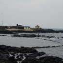 제주돌담 이미지