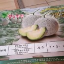 청강농원 이미지