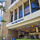 하와이호텔 | 힐튼 와이키키 비치 리조트 &amp; 스파 하와이 가성비 호텔 후기