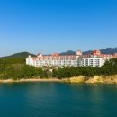 나비무인텔 이미지