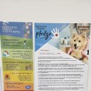 포즈티브 이미지