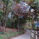 아차산 동행숲길 | &#39;아차산 동행 숲길&#39; 산책하기 좋은 길 / 기원정 사(寺)까지 가보자